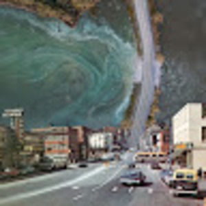 Meet your Posher, Brown